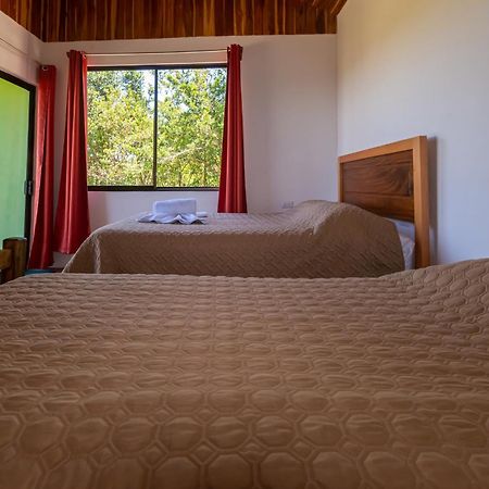 Cabinas Capulin & Farm モンテベルデ エクステリア 写真